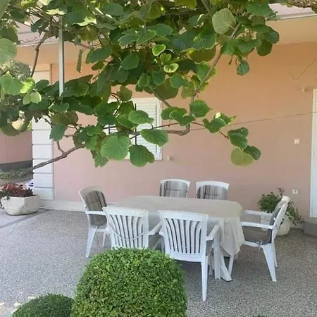 Radic * Traù