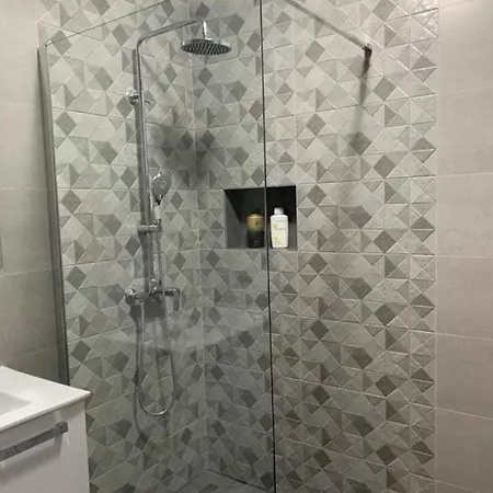 Radic Traù